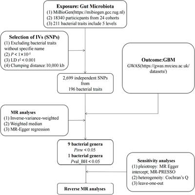 Association between gut microbiota and glioblastoma: a Mendelian randomization study